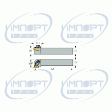 DTGNL 2020K-16