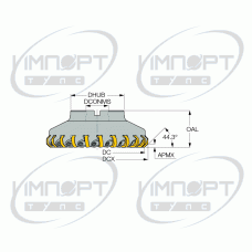 F45WG D125-18-40-FX-R08
