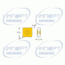 SNGX 120712T