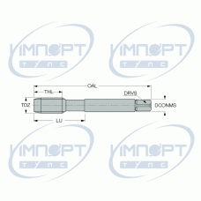 TPG UNC-#12-24-M