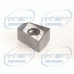 H490 ANKX 120508PNTR